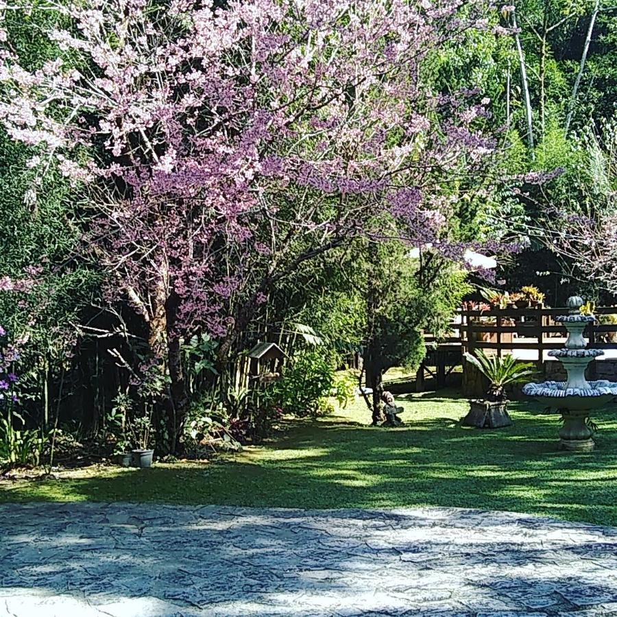 Havila Arara Azul โนวาฟริบูร์โก ภายนอก รูปภาพ
