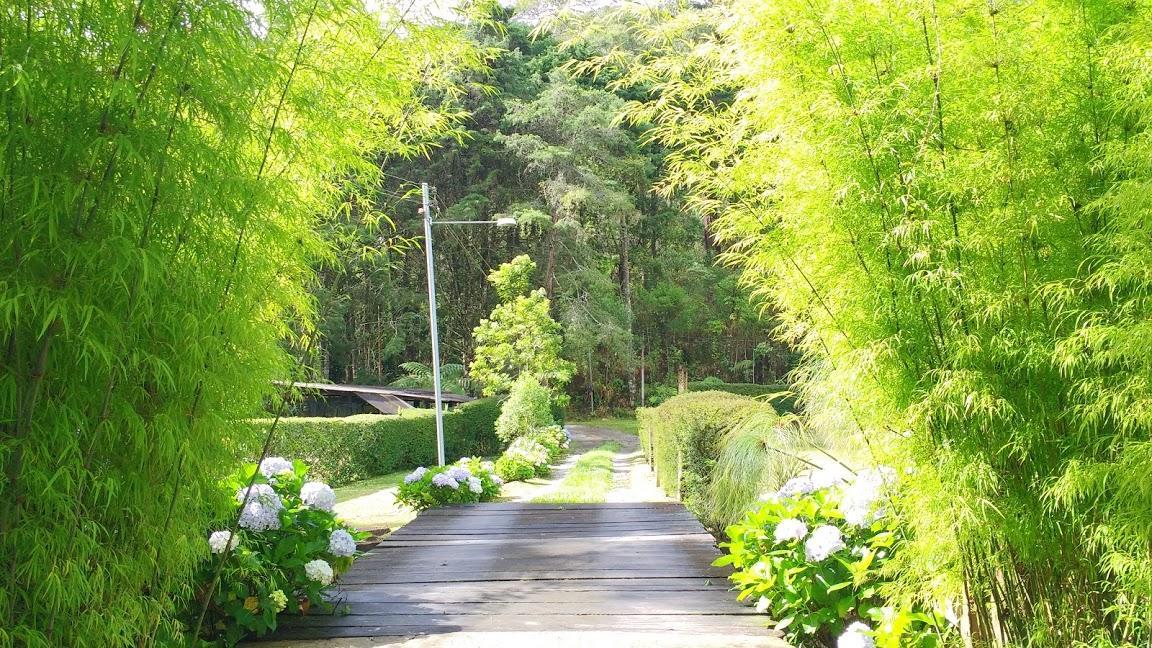 Havila Arara Azul โนวาฟริบูร์โก ภายนอก รูปภาพ